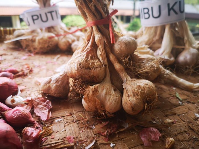 Foto: Kementan Foto: Kementan