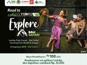 Hobi Motret Satwa? Yuk, Ikut Lomba Foto Satwa di Bali Safari!