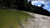 Muara Tami adalah distrik yang letaknya tak terlalu jauh dari Ibu Kota Provinsi Papua, Kota Jayapura. Muara Tami adalah distrik terdepan wilayah Republik Indonesia yang berbatasan dengan Papua Nugini.