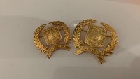 Masing-masing anggota DPRD DKI Jakarta akan mendapat dua pin emas 22 karat seberat 5 dan 7 gram. Untuk tanda pengenal sebagai anggota dewan, kata Sekretaris Dewan DPRD DKI, Yuliadi.(Dok. Taufiqurrahman)