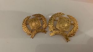 Penampakan Pin Emas Anggota DPRD DKI yang Jadi Kontroversi
