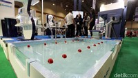 Pameran olahraga ini digelar mulai tanggal 21 Agustus hingga 25 Agustus 2019 mendatang.