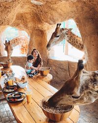 Asyik ! Di Sini Bisa Sarapan Seru Satu Meja dengan Dua Jerapah Imut