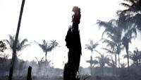 Para konservasionis menyalahkan Bolsonaro, mengatakan bahwa sang presiden telah mendorong para penebang kayu dan petani untuk membuka lahan. REUTERS/Bruno Kelly.