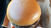 Sepertinya penambahan wijen pada burger ini hanya formalitas ya. Lihat saja, hanya ada satu wijen di atas bun. Foto: Istimewa