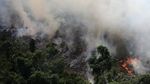 Penampakan Nyala Api Kebakaran Hutan Amazon di Malam Hari