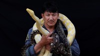 Pinyo Pukpinyo merupakan seorang petugas pemadam kebakaran di Thailand. Namun, siapa sangka, pria berusia 50 tahun itu punya banyak pengalaman menarik nan menegangkan dengan puluhan ribu ular.