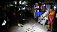 Tak sedikit panggilan darurat yang sampai di Pukpinyo untuk membantu menangkap ular yang masuk ke rumah-rumah warga.