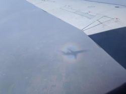 Foto-foto Penampakan Unik yang Mungkin Disangka Fiktif