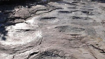Seperti ada pijakan kaki dinosaurus. (Foto: Brightside)