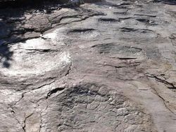 Foto-foto Penampakan Unik yang Mungkin Disangka Fiktif