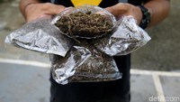 Meski berkali-kali aparat Indonesia menangkapi orang-orang Papua Nugini karena mengedarkan ganja, kasus serupa terus saja berulang. Pihak Satgas Pamtas RI-PNG menunjukkan kepada kami ganja-ganja hasil tangkapannya. Ganja-ganja itu masuk dengan cara ilegal, termasuk lewat jalan tikus dan cara-cara pengelabuan.
