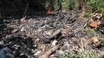 Penampakan Pulau Sampah Bak Reklamasi di Kalibaru Bogor