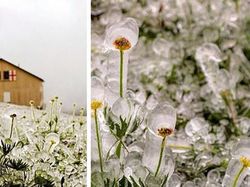 Foto-foto Penampakan Unik yang Mungkin Disangka Fiktif