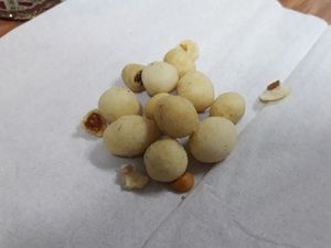 Diselidiki Polisi, Ini Kacang yang Bikin Siswa Bekasi Keracunan