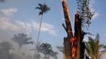 Hutan Amazon Alami Kebakaran Terburuk Tahun Ini