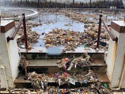 Foto-foto Penampakan Unik yang Mungkin Disangka Fiktif