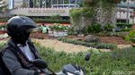 Melihat Lebih Dekat Instalasi Batu Gabion di Bundaran HI