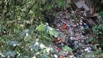 Ini yang Bikin Kalibaru Jadi Pulau Sampah