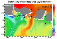 Ini Rute Hiu Blacktip Menuju Nusa Dua, Bali