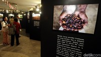 Di acara peluncuran cokelat tersebut ditampilkan pula beragam foto yang menggambarkan proses pengolahan cokelat Rasinki.