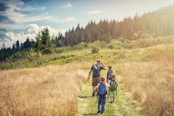 Father with three kids are hiking the grassy path towards gentle sloped hill covered by mixed forest.