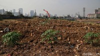 Dia menjelaskan bahwa saat ini sekitar 92 persen wilayah Indonesia mengalami kemarau. Bahkan terdapat beberapa wilayah yang mengalami hari tanpa hujan ekstrem, yaitu tidak ada hujan hingga lebih dari 60 hari seperti di seluruh Pulau Jawa, Bali, dan Nusa Tenggara.