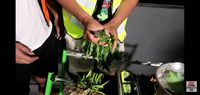 Tutorial Masak Super Ngaco, Dua Pria Ini Masak Sup Ayam Adem Sari 