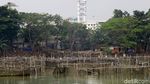 Melihat Aktivitas Warga di Situ Rawa Kalong yang Akan Direvitalisasi