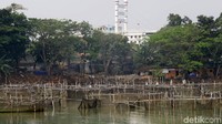 Namun saat mengunjungi Situ Rawa Kalong, air di situ tersebut nampak kotor dan tercemar limbah rumah tangga dan pabrik.