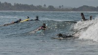 Wisatawan mancanegara sering kali mengunjungi Pantai Batu Karas untuk bermain selancar karena kawasan tersebut memiliki pantai yang cukup datar dengan teluk kecil sehingga peselancar tidak perlu mendayung terlalu jauh untuk mencapai titik awal gelombang datang. ANTARA FOTO/Adeng Bustomi.