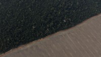 Penampakan deforestasi di hutan Amazon (Foto: REUTERS/Ueslei Marcelino)