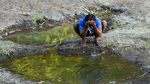 Miris! Warga Mandi Hingga Mencuci di Bendungan Tercemar Limbah