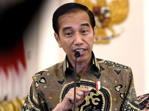 Istana Pastikan Jokowi Bekerja Paralel Urus Papua dan Ibu Kota Baru