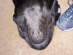 Foto-foto Menggelikan akibat Angle Pemotretan