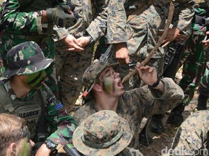 Latihan di Hutan Banyuwangi, Marinir AS Terheran-heran Khasiat Kayu Bajakah