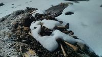 Kisah Danau Kerangka Manusia Paling Misterius di Dunia