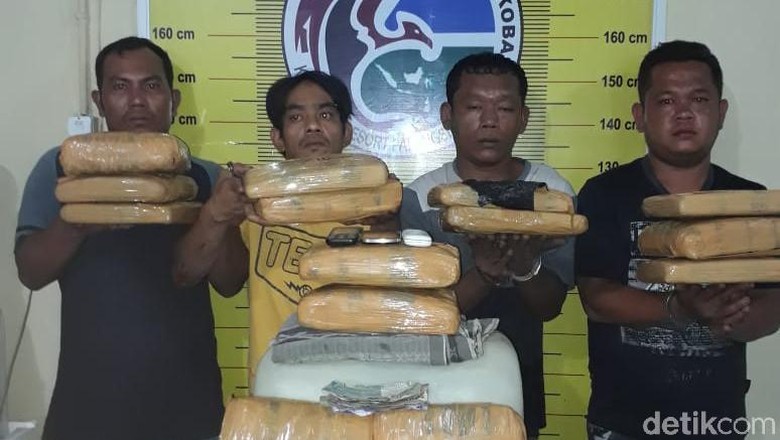 4 Kurir 15 Kg Ganja di Padangsidimpuan Diringkus 4 Kurir 15 Kg Ganja di Padangsidimpuan Diringkus