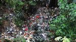 Ini yang Bikin Kalibaru Jadi Pulau Sampah