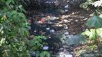 Ini yang Bikin Kalibaru Jadi Pulau Sampah