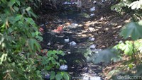 Jika terus dibiarkan gunungan sampah tersebut akan menutupi aliran sungai.