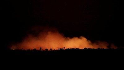 Penampakan Nyala Api Kebakaran Hutan Amazon di Malam Hari