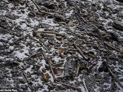 Keindahan dan Misteri Danau Kerangka di Himalaya