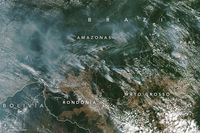 Begini Kebakaran Hutan Amazon Dilihat dari Satelit NASA