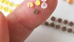 Mungil Banget! Seniman Ini Bikin Miniatur Makanan yang Mirip Aslinya