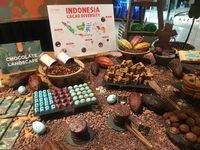 Cokelat Ransiki Asli dari Papua Barat yang Unik dan Umami Rasanya