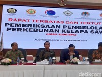 Sederet PR Jokowi Bereskan Tata Kelola Sawit