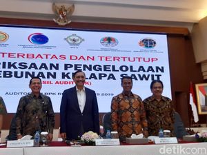 BPK Panggil Luhut hingga Arcandra Bahas Pengelolaan Kebun Sawit