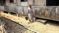Namun bantuan yang datang tak menentu ada setiap harinya. Sehingga warga sulit mendapatkan air bersih.