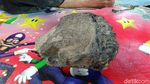 Penampakan Fosil Rahang Gajah Purba di Ciamis